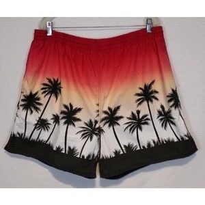 Chaps Ralph Lauren Board Shorts Size XL Ombre Palm Trees